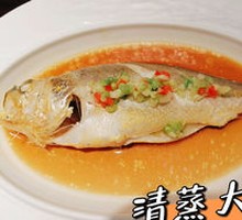 Large Yellow Croaker