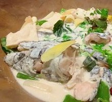 江团鱼