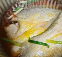 Yellow Croaker