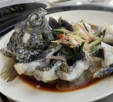 Spotted Sea Bass