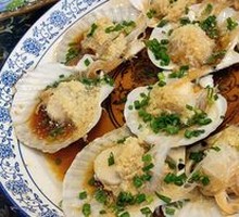 Scallop