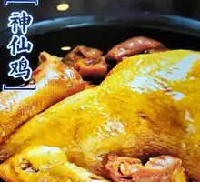 Immortal Chicken