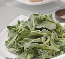 Ice Plant