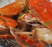 Spider Crab