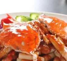 Spider Crab