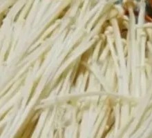 Enoki Mushroom