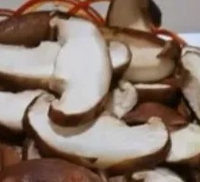 Shiitake Mushroom