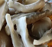 Enoki Mushroom
