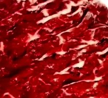 Lamb Brain Meat