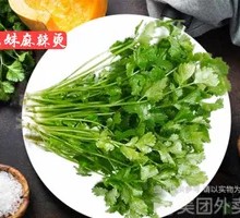 Cilantro