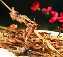 Squid Tentacles