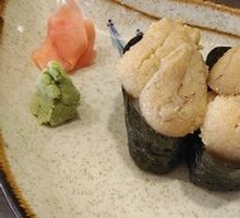 Sea Urchin