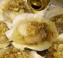 Scallop
