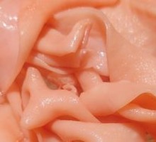 Goose Intestines