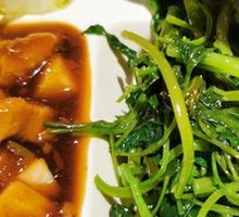 Bok Choy Sprouts
