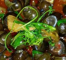 Spicy Snails