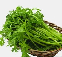 Chinese chrysanthemum greens