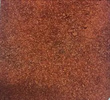Chili Powder Roasted Chicken