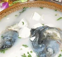 Fish Head Tofu Hot Pot Rice