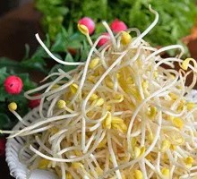 Mung Bean Sprouts
