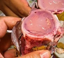 Tuna Bone Marrow
