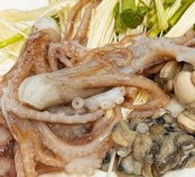 Live Octopus