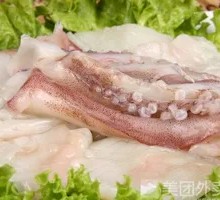 Squid