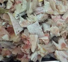 Grouper Head