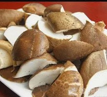 Shiitake Mushroom