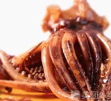 Signature Squid