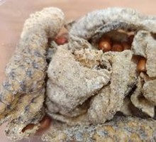 Fried Fish Skin