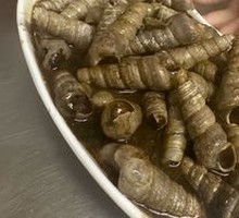 Rope Snail