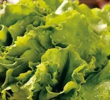 Stir-Fried Lianzhou Mustard Greens