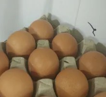 Egg, Pork, and Mushroom Steamed Noodles