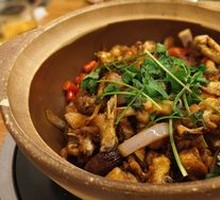 Qingyuan Chicken Pot