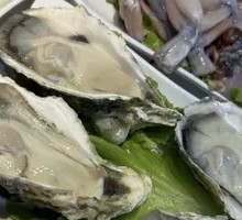 Freshly Shucked Oysters