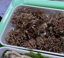 Dragon Claw Mushroom