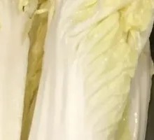 Fresh Napa Cabbage