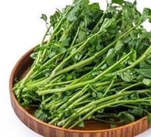 Watercress