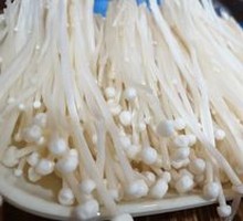 Enoki Mushroom