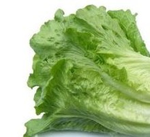 Lettuce