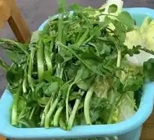 Watercress