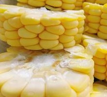 Corn