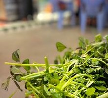 Watercress