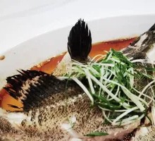 Steamed Fish