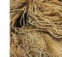 Alkaline Whole Egg Wet Shrimp Noodles