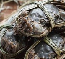 Live Crab