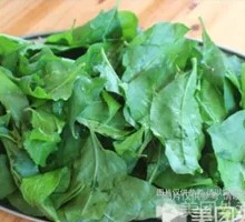 Fresh Goji Leaf