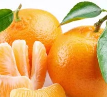 Orange Delight