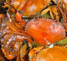 Baby Crab Egg Custard